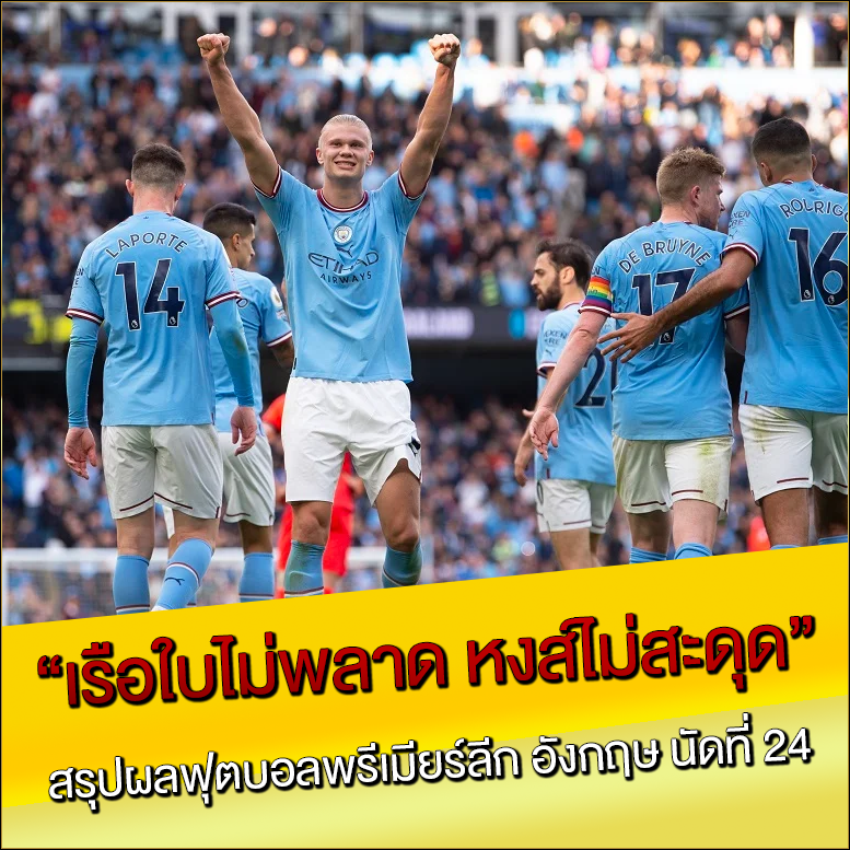 เรือใบไม่พลาด หงส์ไม่สะดุด